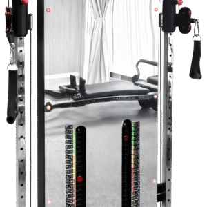 French Fitness Wall Mounted Mirror Functional Trainer (New)