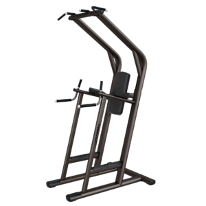 Life Fitness Signature Chin / Dip VKR Leg Raise (Remanufactured)