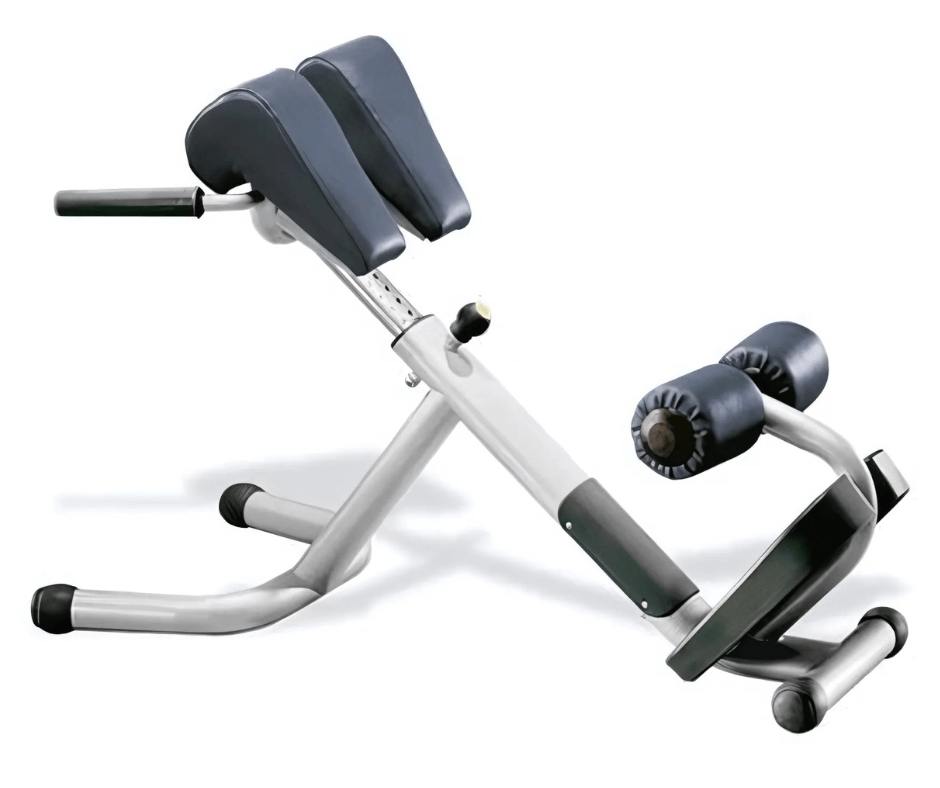 Technogym Selection MED 45 Degree Back Hyperextension (Remanufactured)